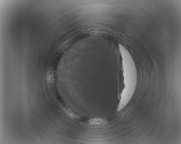 X0000066490137200604141706