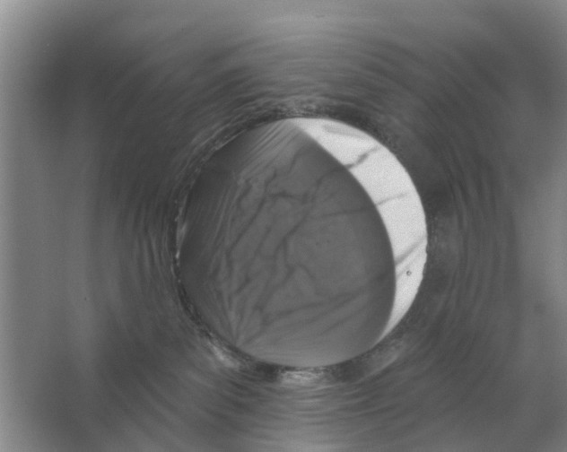 X0000066490139200604141706