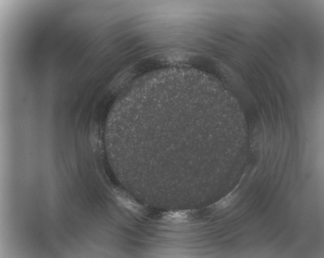 X0000066490140200604141706