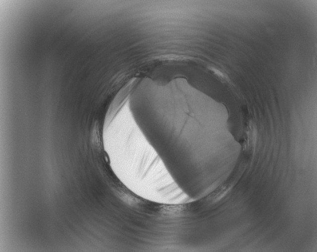 X0000066490143200604141706