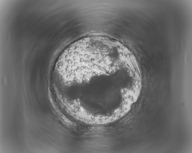 X0000066490145200604141705
