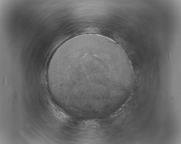 X0000066490146200604141705