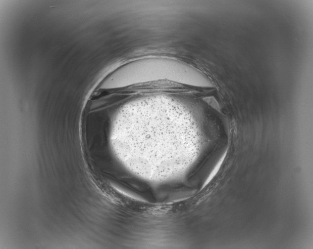 X0000066490148200604141705