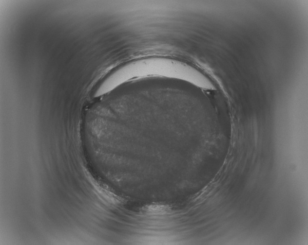 X0000066490154200604141705