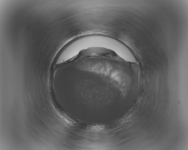 X0000066490156200604141705