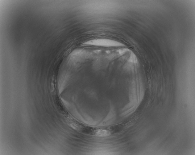 X0000066490169200604141706