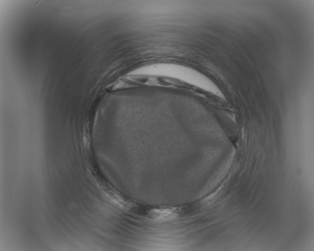 X0000066490170200604141706
