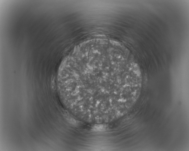 X0000066490177200604141706