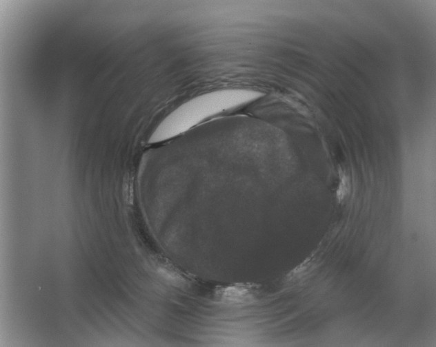 X0000066490180200604141706