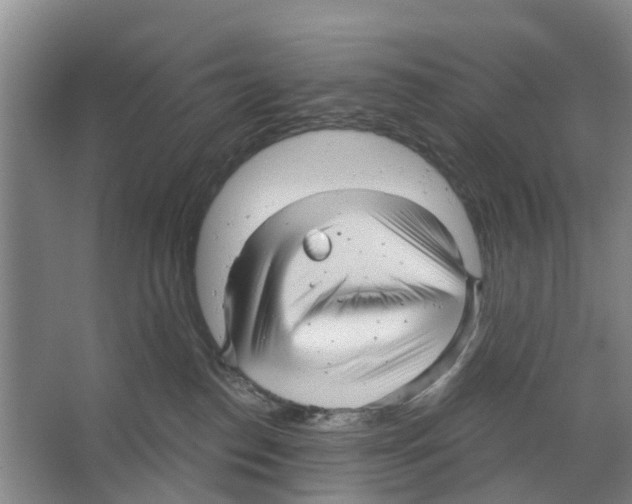 X0000066490186200604141706