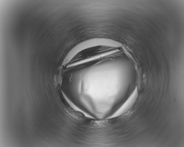 X0000066490188200604141706