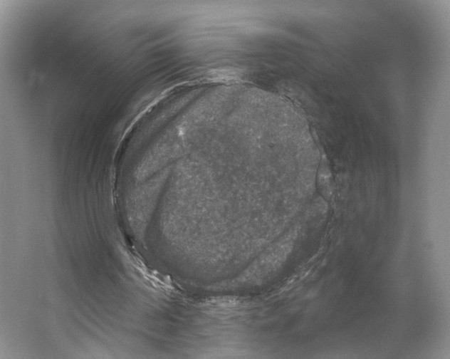 X0000066490194200604141705