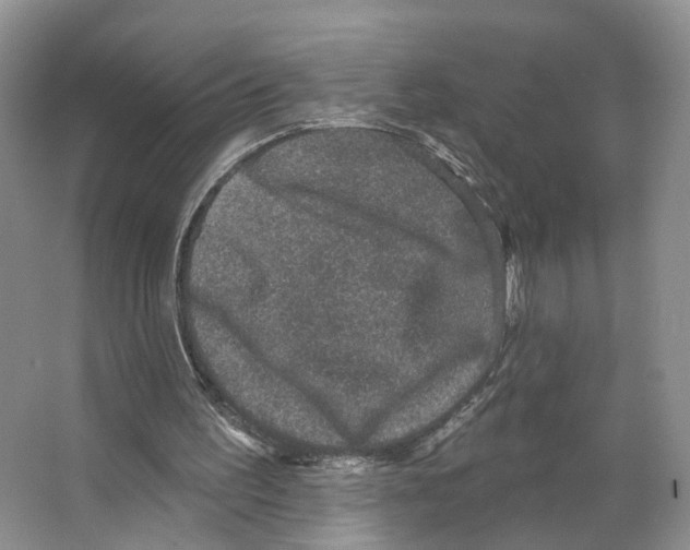 X0000066490195200604141705