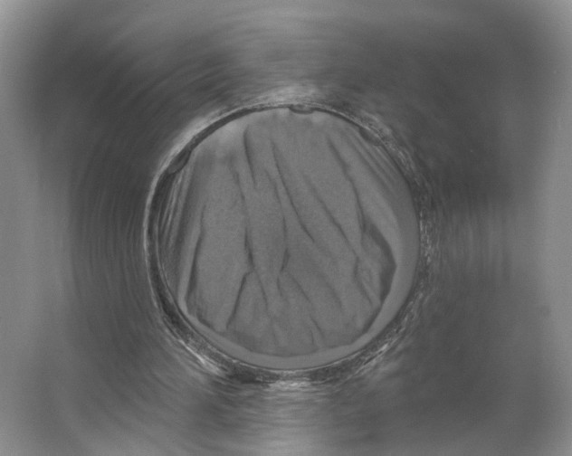 X0000066490196200604141705