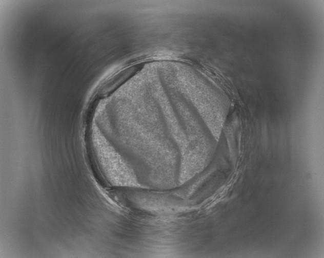 X0000066490197200604141705