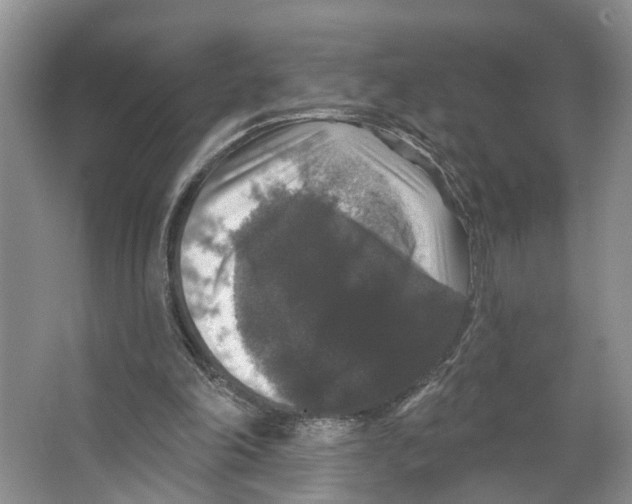 X0000066490198200604141705