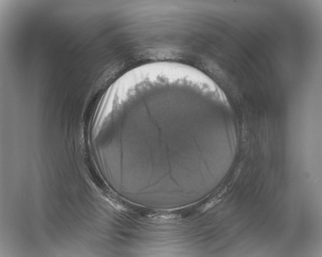 X0000066490202200604141705