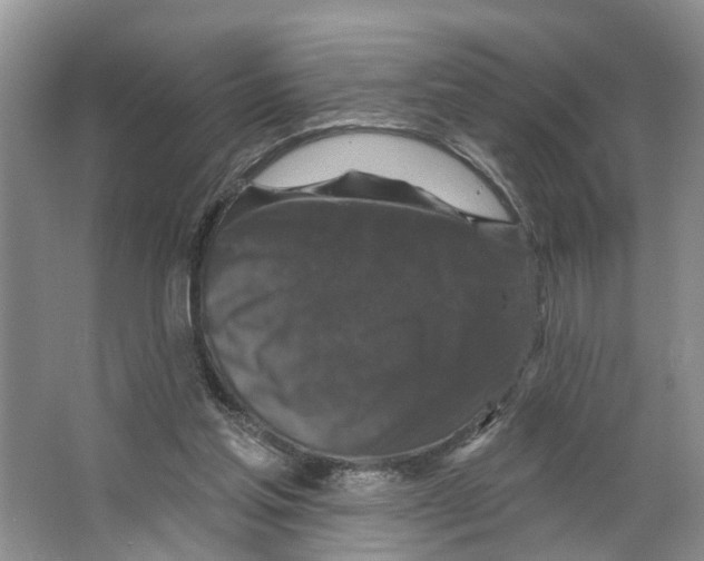 X0000066490205200604141705