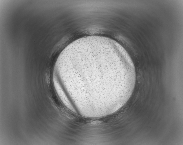 X0000066490210200604141705
