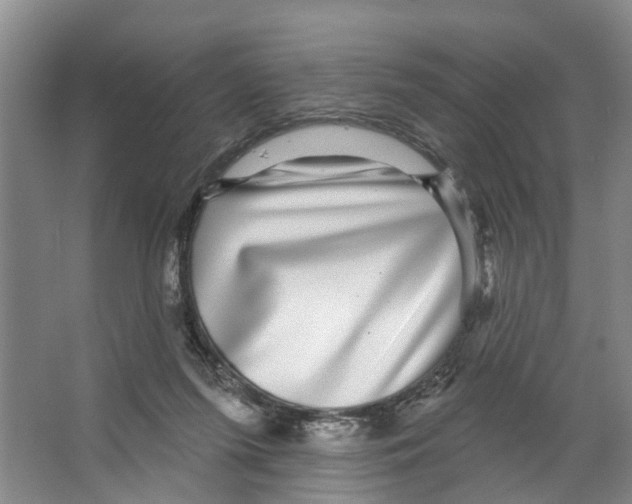 X0000066490215200604141705