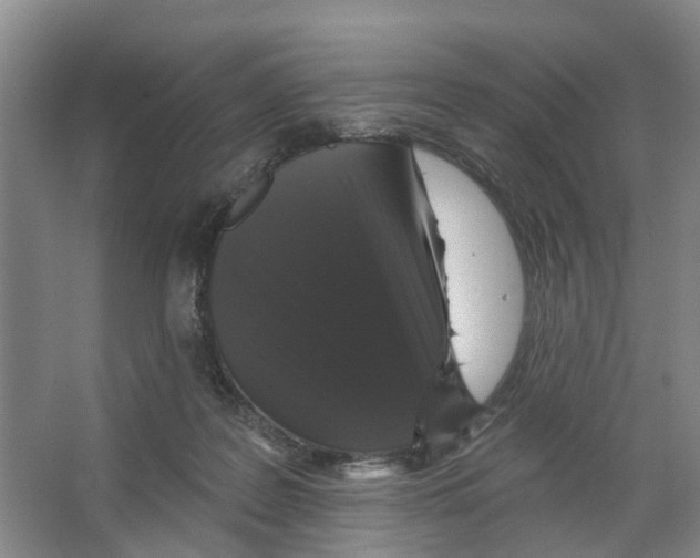 X0000066490219200604141705
