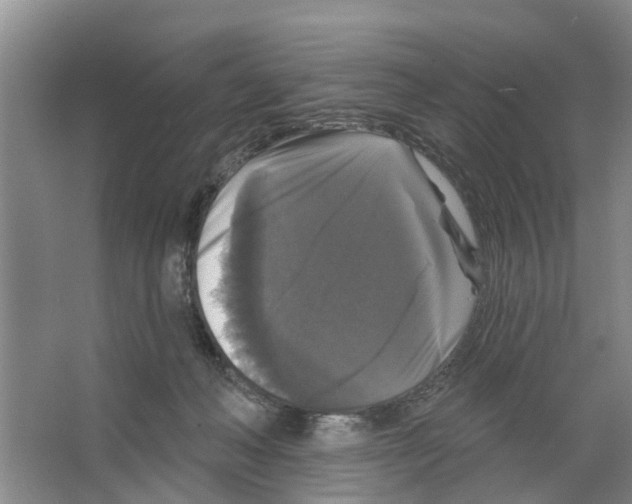X0000066490222200604141705
