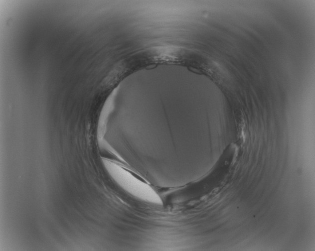 X0000066490223200604141705