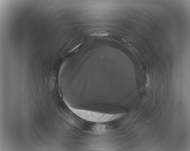 X0000066490227200604141705