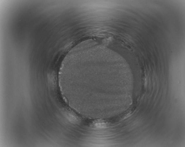 X0000066490228200604141705