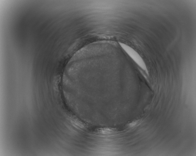 X0000066490229200604141705