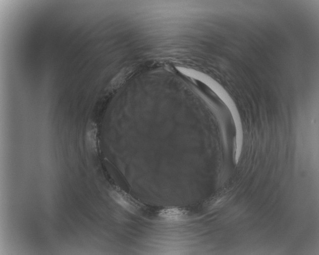 X0000066490231200604141705