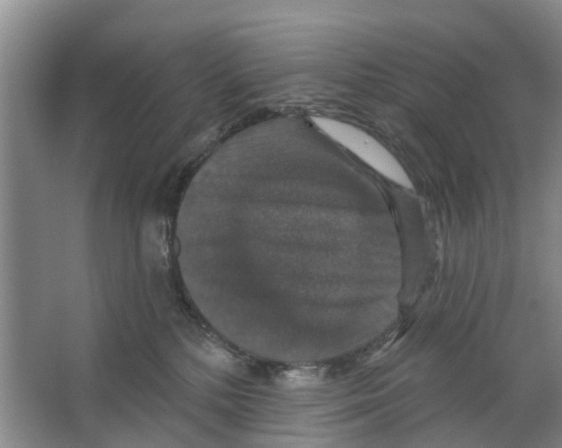 X0000066490232200604141705