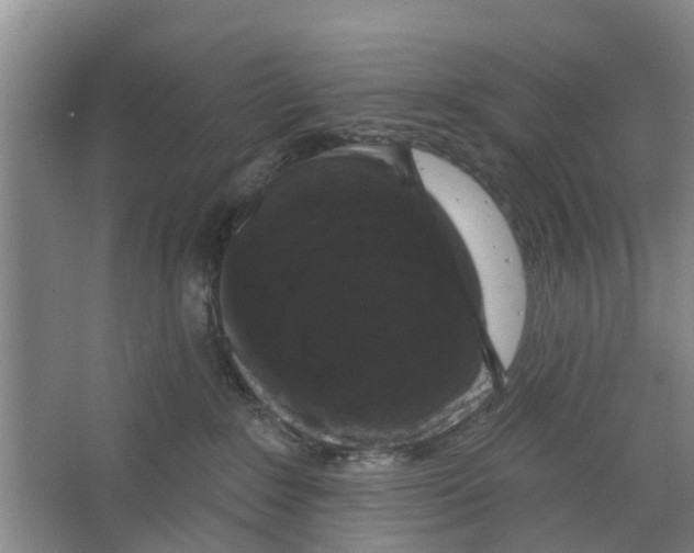 X0000066490235200604141704