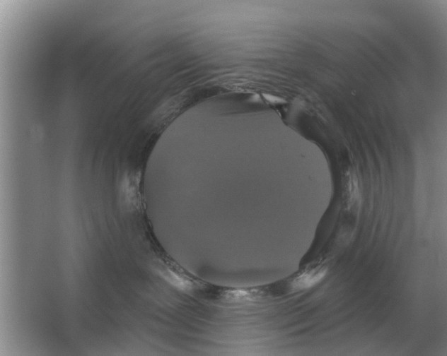 X0000066490239200604141704