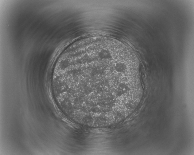 X0000066490241200604141704