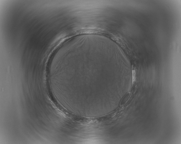 X0000066490243200604141704