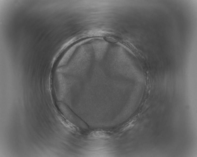 X0000066490244200604141704