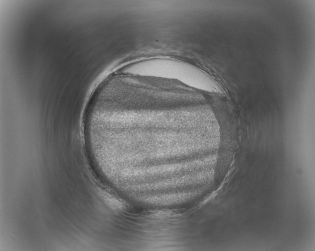 X0000066490246200604141704