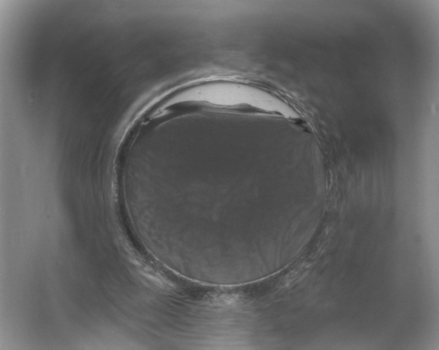 X0000066490247200604141704