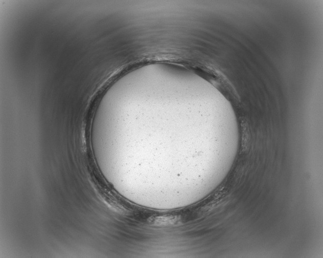 X0000066490251200604141704