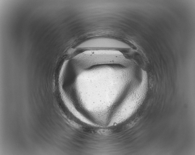 X0000066490261200604141704