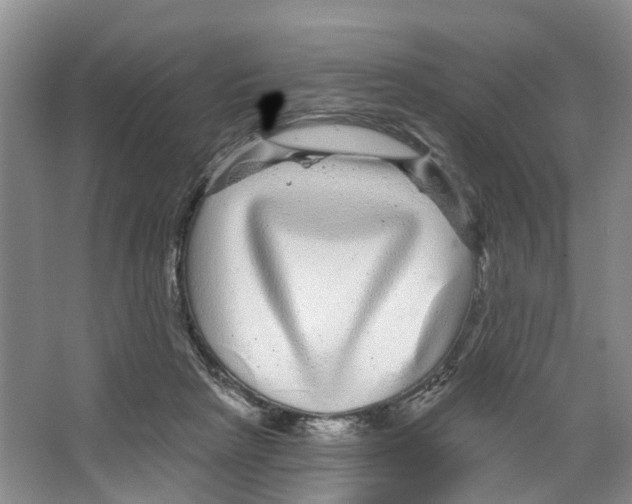 X0000066490265200604141704