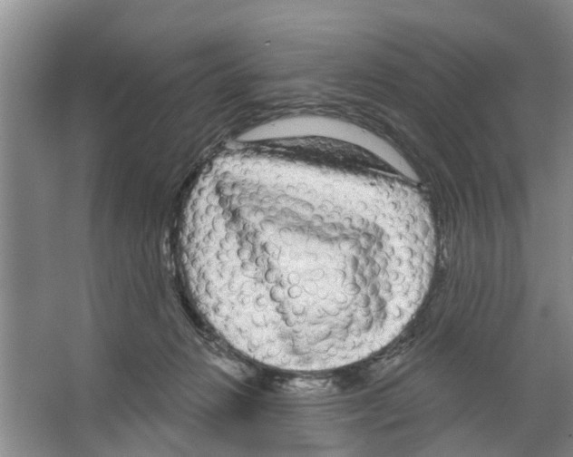 X0000066490270200604141704