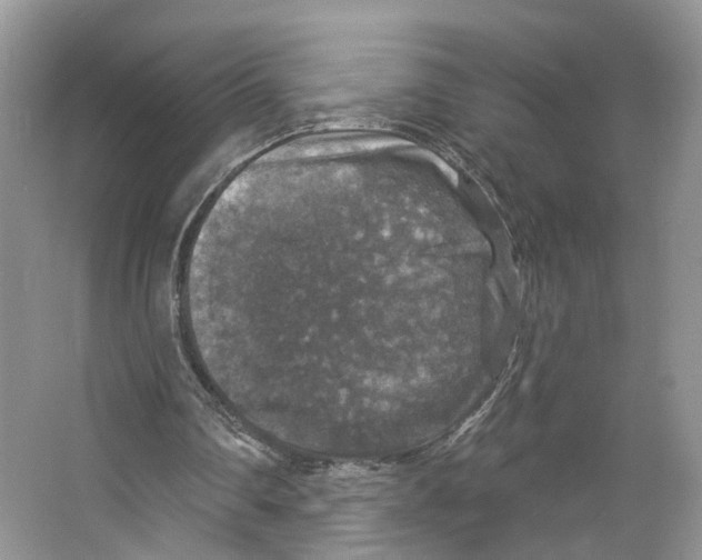 X0000066490290200604141704