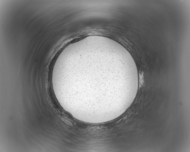 X0000066490291200604141704