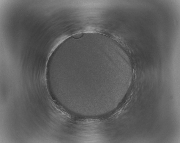 X0000066490292200604141704