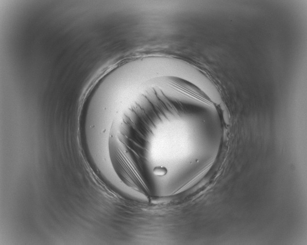 X0000066490293200604141704