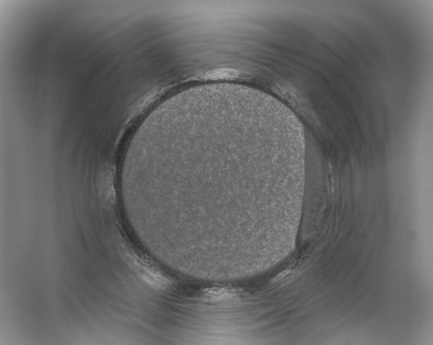 X0000066490300200604141703