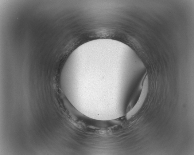 X0000066490317200604141703