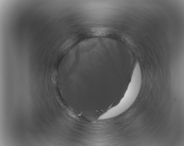 X0000066490325200604141703